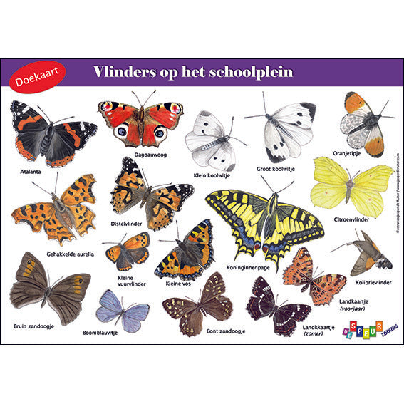 Doekaart lesmateriaal vlinders op het schoolplein van de speurzoekers jasper de ruiter vlinders ontdekken op school bso kinderdagverblijf