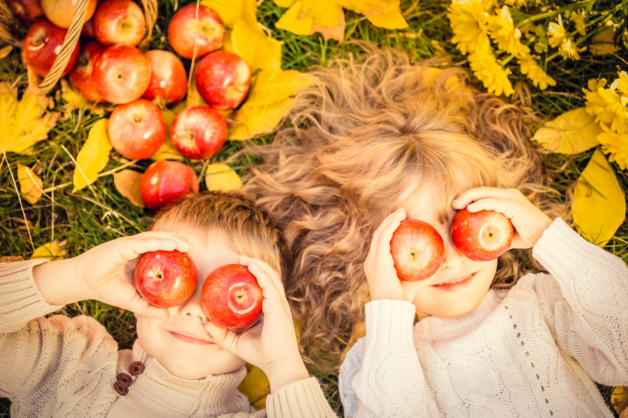 5 tips voor een avontuurlijke herfst in Nederland