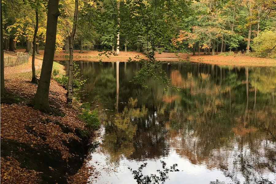 Gastblog Natuur in je leven!