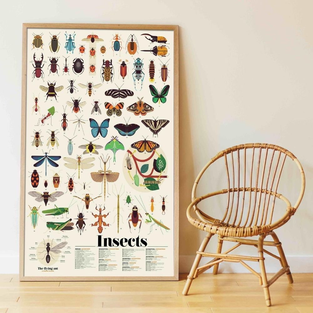 Vintage poster insecten voor livingroom bedroom slaapkamer woonkamer kind stickers plakken diy inrichting huis vlinders libelle kever sprinkhaan