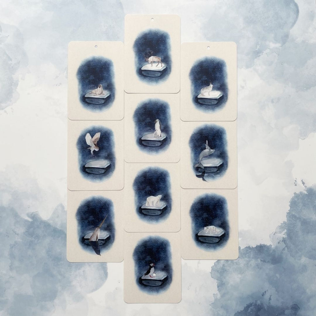 In a flash cards polar friends pooldieren winter thema geillustreerde kaarten van jodie becker niveau 3 jaar