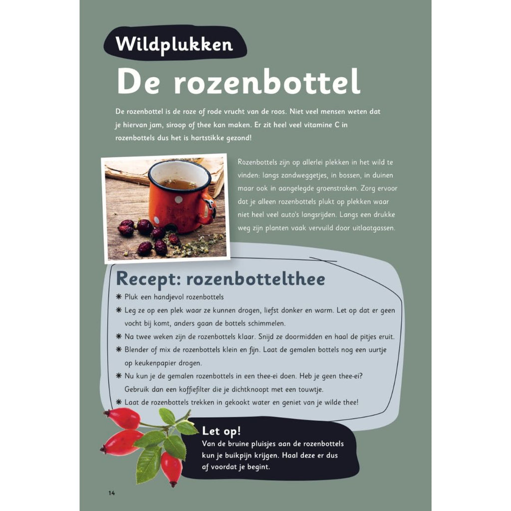 Activiteit in buitenspeel doeboek de rozenbottel thee maken door wildplukken voro kinderen