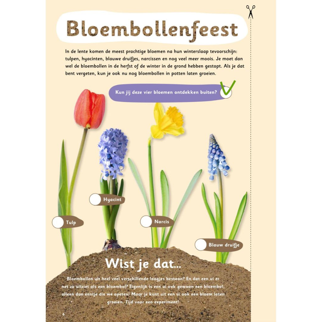 Buitenspeeldoeboek voor kind bloembollenfeest activiteit voor in de lente  bloemen uit bloembollen ontdekken