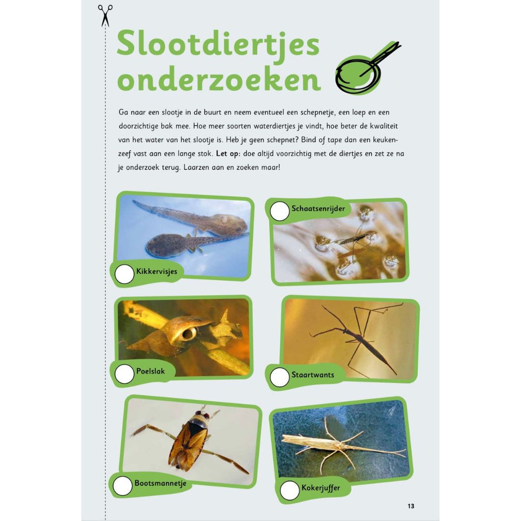 Buitenspeeldoeboek activiteit slootdiertjes onderzoeken 