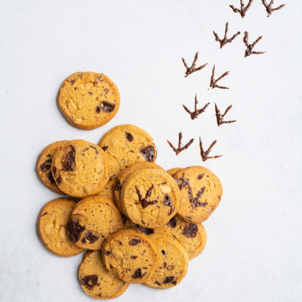 chocolade koekjes bakken met kinderen kinderbakboek