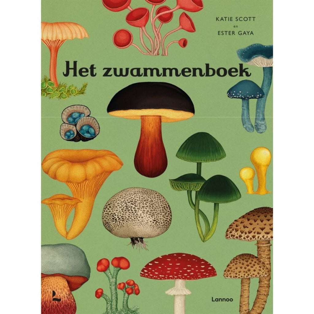 Het zwammenboek van Lannoo katie scott en ester gaya  een ouder kind leert alles over zwammen paddenstoelen schimmels en het ecosysteem met dit mooie boek over de natuur voor kinderen mooi themaboek voor in de herfst  cadeau voor jongen en meisje